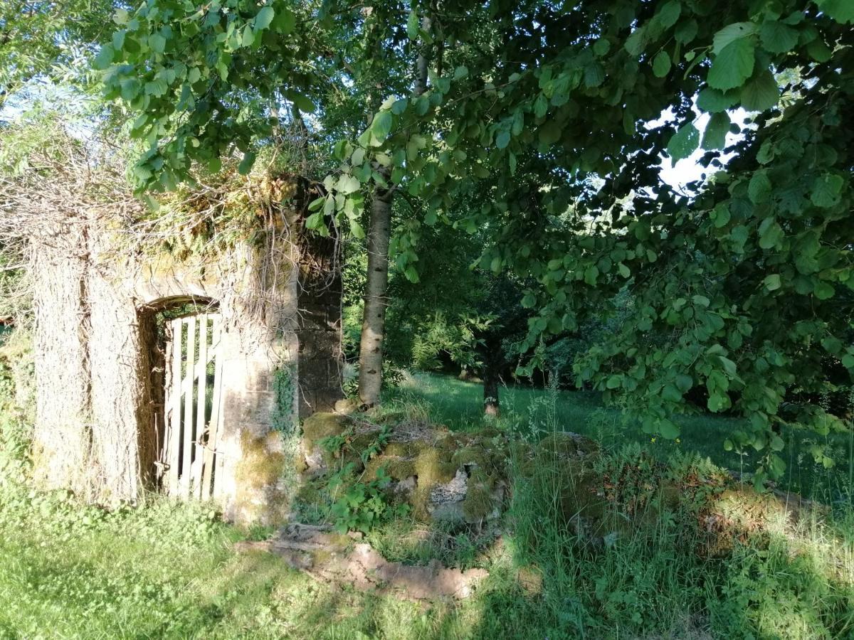 Le Miraillet, Gite Saint-Illide 外观 照片