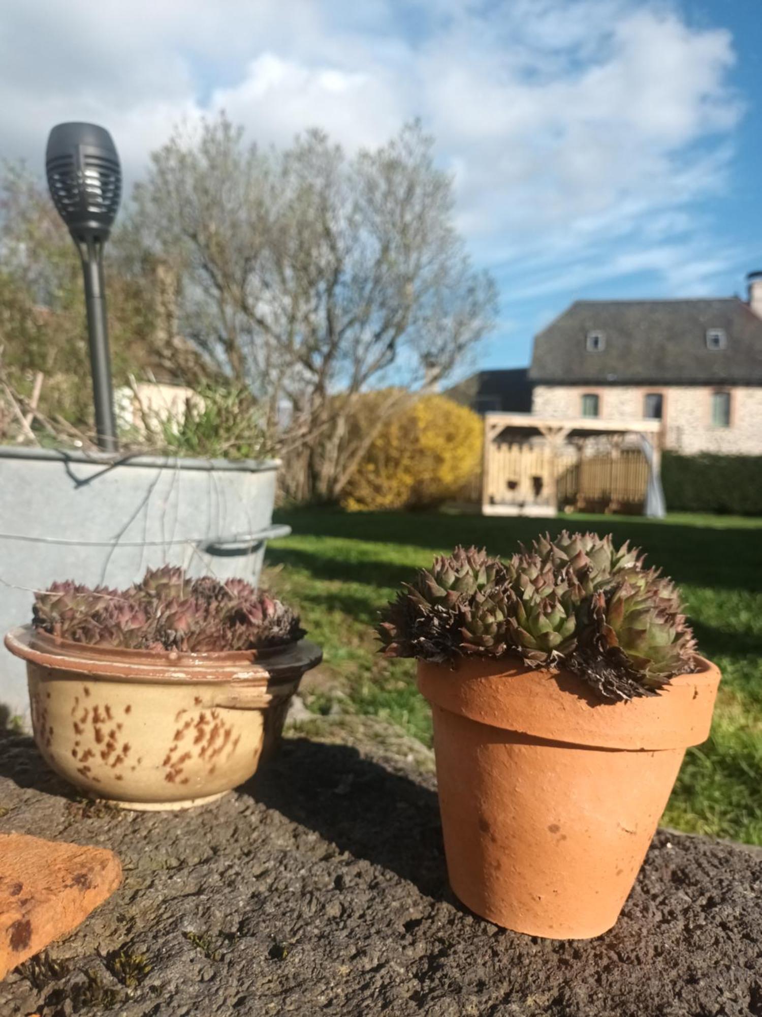 Le Miraillet, Gite Saint-Illide 外观 照片
