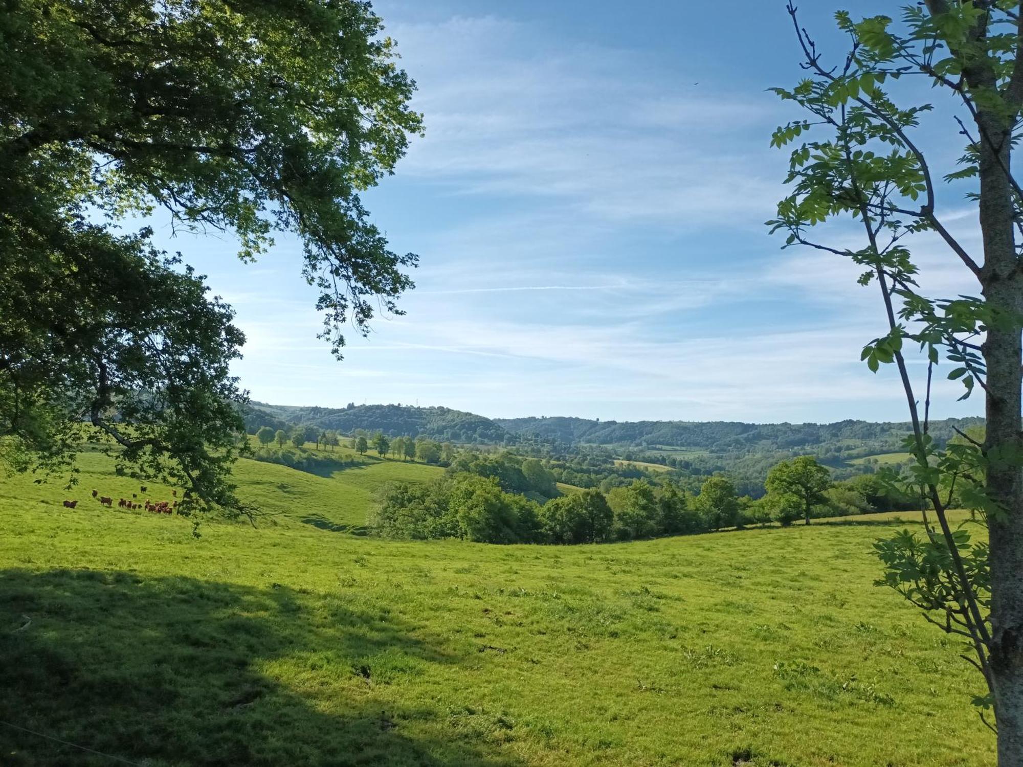 Le Miraillet, Gite Saint-Illide 外观 照片